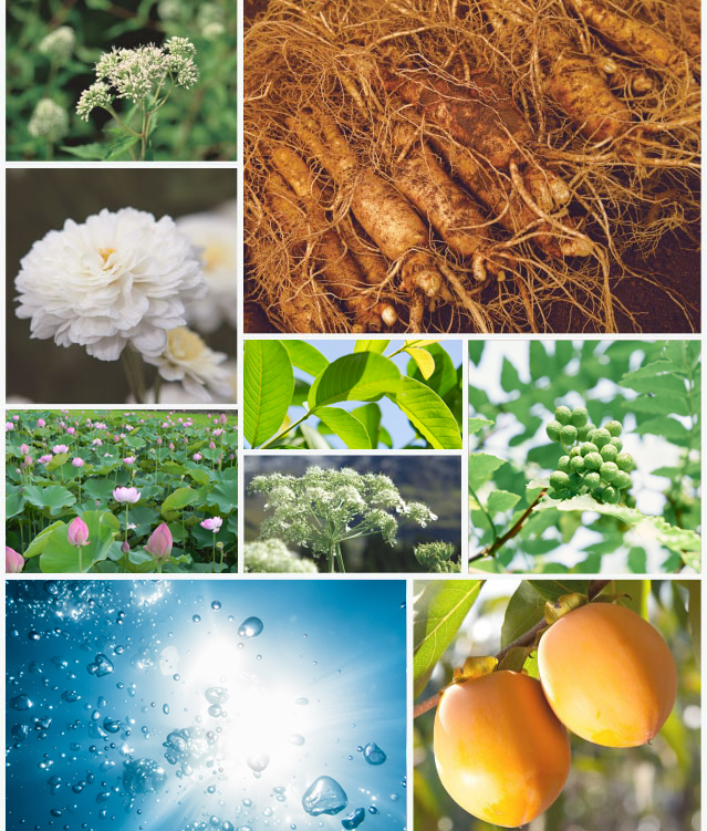 嚴選自大自然的原料